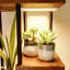 Plant Stand - Set of 5