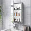 Armoire à pharmacie 15 po x 26 po avec miroir réglable et fixation murale en aluminium pour salle de bain
