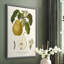 Vintage Pears I, reproduction encadrée - bois massif-398909214-398909408