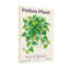 Plantes et fleurs Pothos plante vigne tropicale motif de feuilles vertes-858114000
