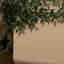 Photos des clients 1 de 2