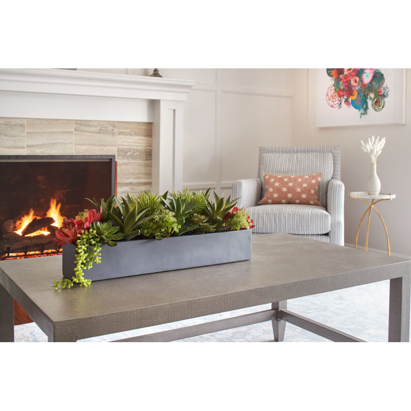 PLANT 27IN SUCCULENT ARRANGEMENT, GRAY POT, Gray/Black