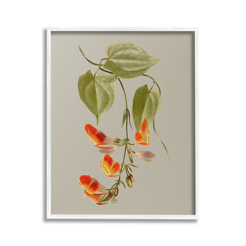 Vigne avec fleurs, Giclée encadrée noir minuit, H 30 po x l 24 po