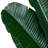 5ft Artificial Banana Leaf Tree Peacock-Shaped Faux Palm Plant