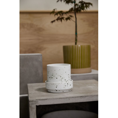 Pot Bridgeway avec soucoupe
