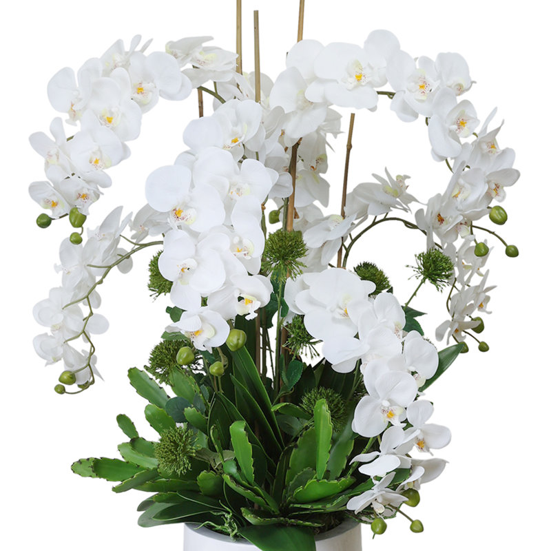 Orchid and Allium Arranged in Planter