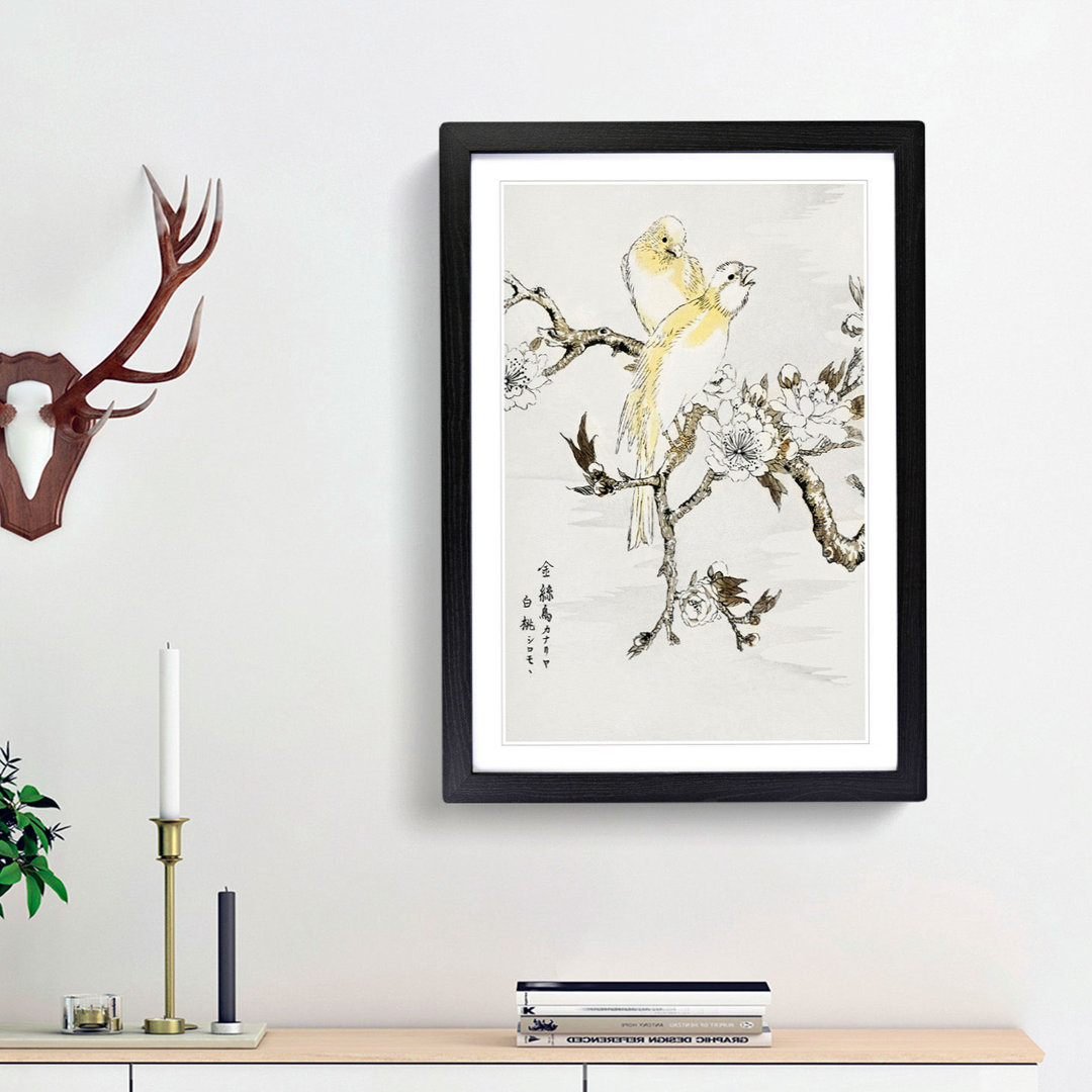 Canary Birds & Peach Blossom by Numata Kashu - Picture Frame Art Print