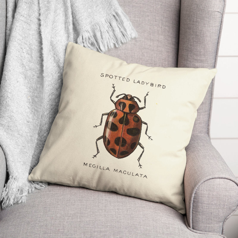 Throw Pillow