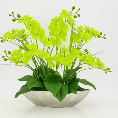 8 Stems Real Touch Phalaenopsis Orchid Arrangement