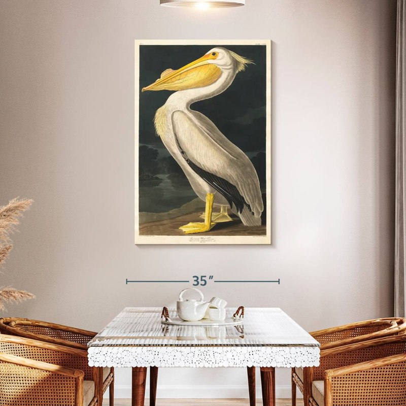 «American American Pelican From Birds Of America», reproduction sur toile, H 48 po x l 32 po x P 1,25 po