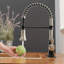 Robinet d'évier de cuisine commercial à poignée simple avec accessoires-60750636