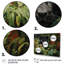 «Black Panther Jungle Roam Oil», art mural panthère pour le salon-21853281-46015001
