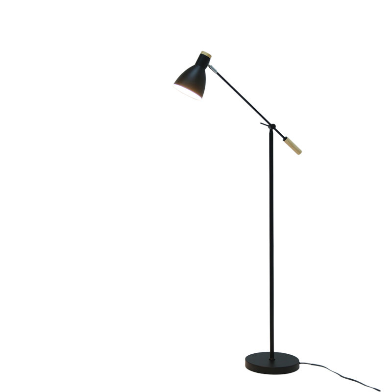 Yuraima 55'' Task Floor Lamp, Black