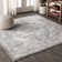 Blane Modern Persian Vintage Medallion Light Gray Rug