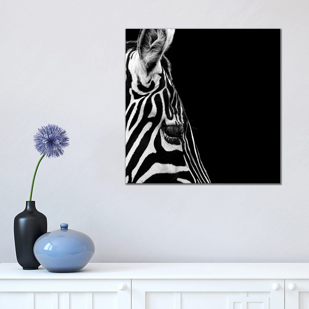 Zebra in Black and White III by Lukas Holas - Wrapped Canvas Photograph