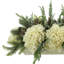Snowy Evergreen and Hydrangea Holiday Centerpiece