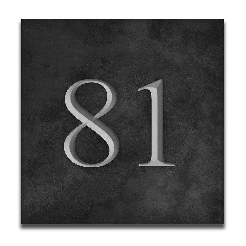 Velia 17.78cm H Stone House Number, 81, Silver