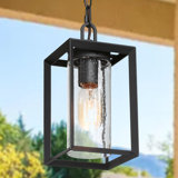 Daxston 1-Light Outdoor Hanging Lantern Lighting