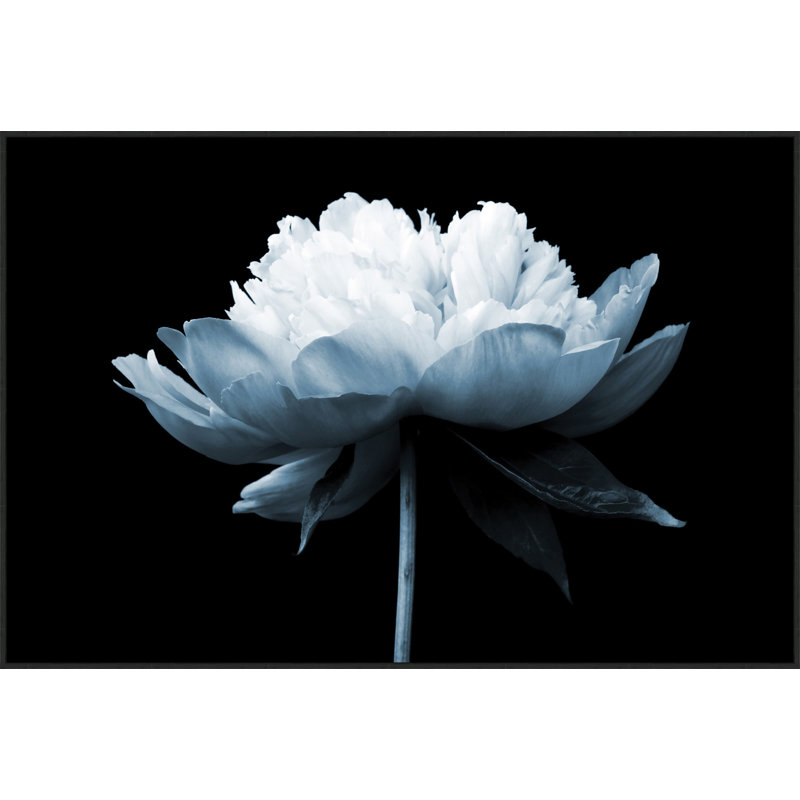 " Blue Dahlia 1 " by Lillian August