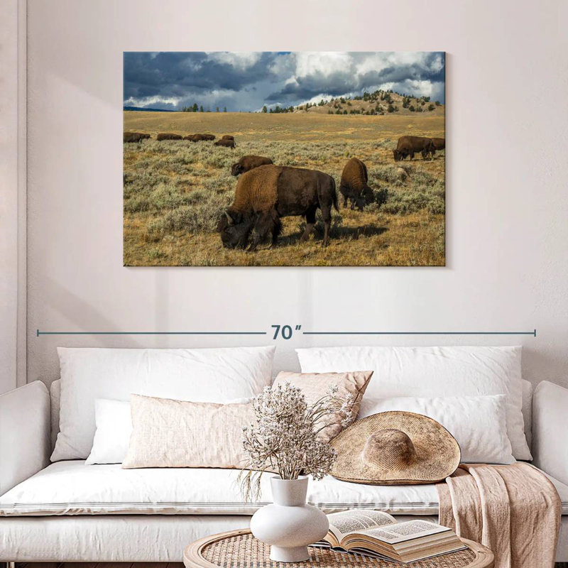 Bison Brampt Yellowstone, H 30 po x l 45 po