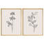 «Morning Glory Flowers», art moderne minimaliste, impressions encadrées, affiches, petit art mural de salle de bain-104788188-104788183