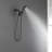 Dual Shower Head 2.5 GPM GPM
