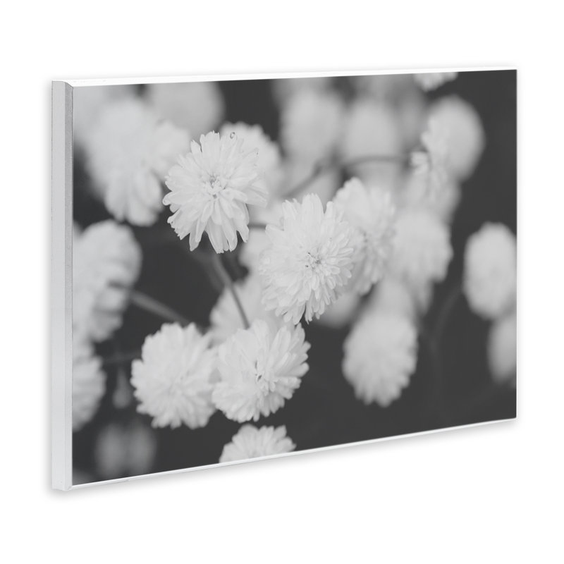Dahlias blancs sur plaque murale noire, design par ANNA Coppel, H 10 po x l 15 po