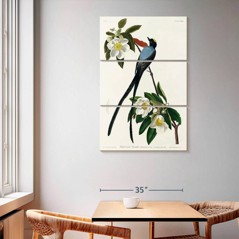 Fork-Tailed Flycatcher, 65" H x 42" W