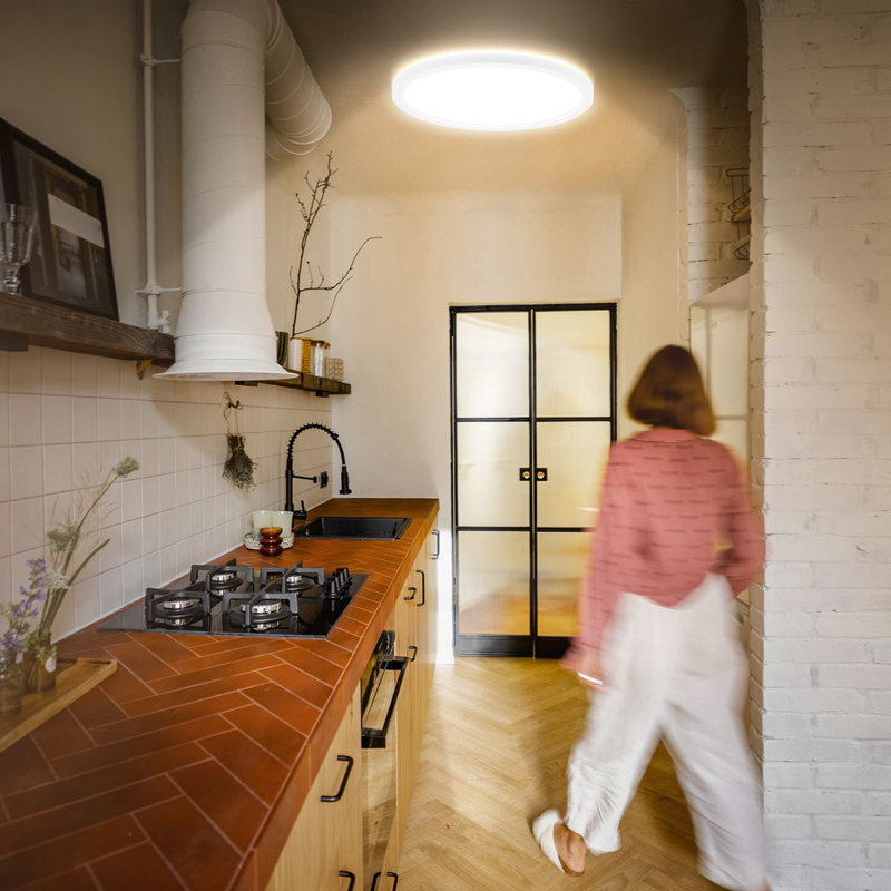 Dael Plastic LED Flush Mount