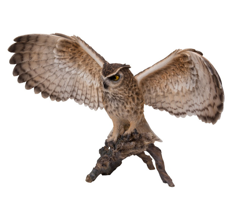 Eagle Owl on Branch with Open Wings Statue