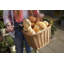 Wicker Heritage Rectangular Bicycle Basket