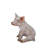 Sitting Pig Statue