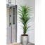 Arbre artificiel artificiel 78,74 po Dracaena-1884110529