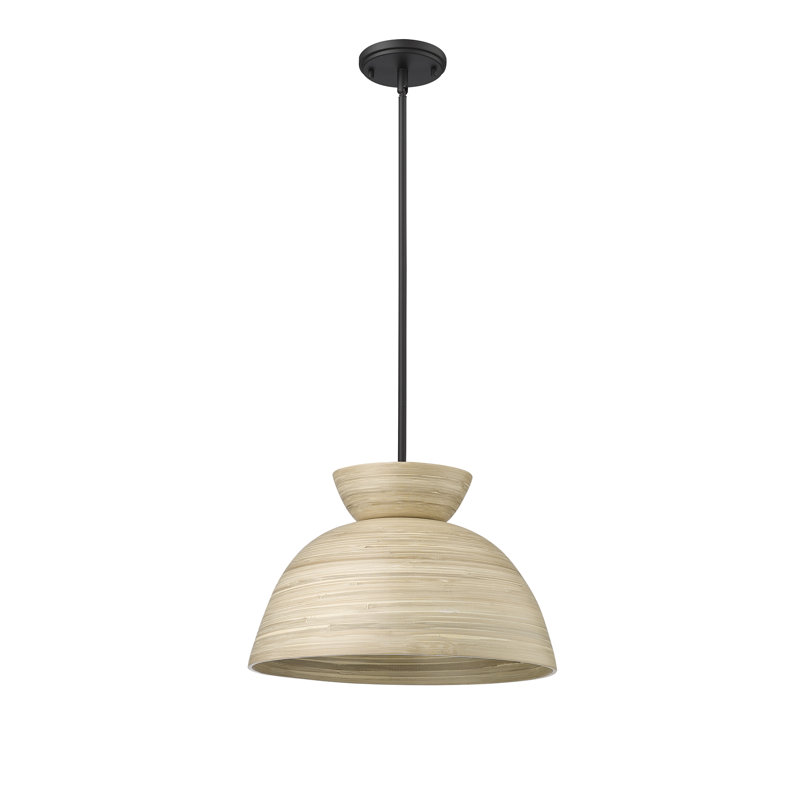 Luminaire suspendu 1 lumière Karlton