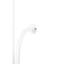 Steel Armed Sconce