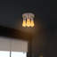 Nantan Spotlight-1513435238-1513435228