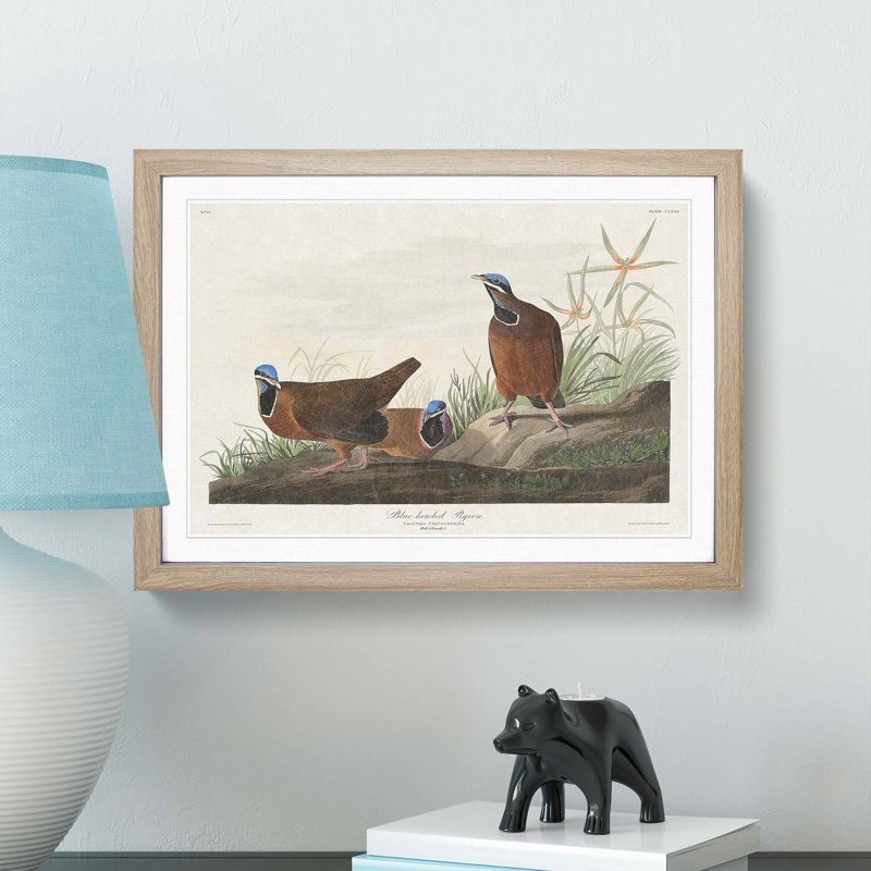 Blue Headed Pigeons by John Audubon - Picture Frame Painting Print, 27cm H x 36cm W x 2cm D, Oak Framed