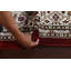 Tapis traditionnel Tabriz Mahi-64490132