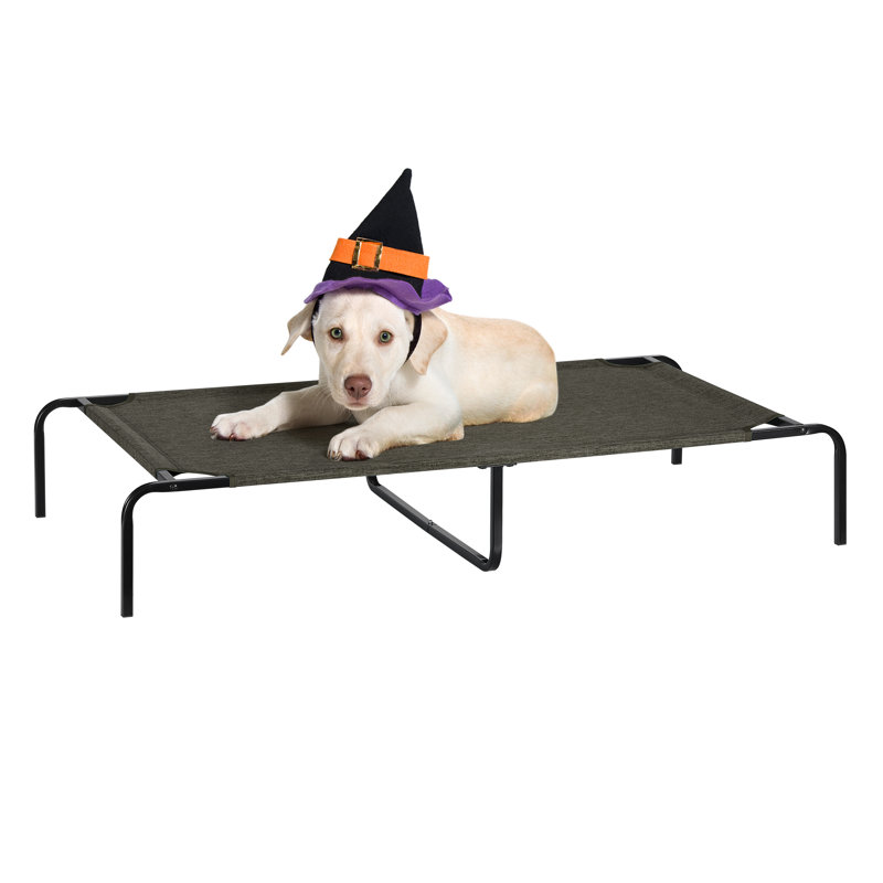 Lit de camp avec tablette centrale Betsab, Gris, Moyen (l 32 po x P 21 po x H 7,5 po)