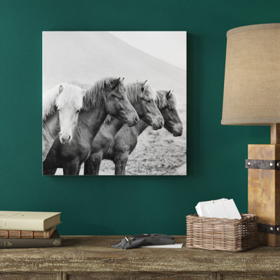 B And W Horses IX by PHBurchett - Wrapped Canvas Print