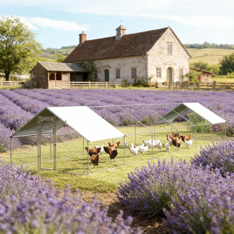 Grande maison pour animaux de compagnie, poulailler, poulailler extérieur, maison pour canards