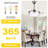 36" 3-Blade Ceiling Fan with Lights and Remote Control-97085822