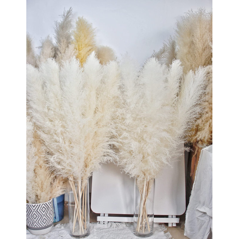 40'' Pampas Grass Grass