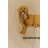 Wall Hanger Dogs