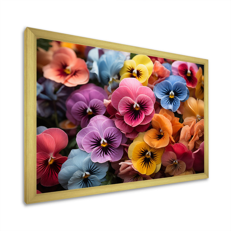 Colourful Pansies Field Vibrant - Floral Wall Art Prints, H 16 po x l 32 po x P 1 po, Cadre doré simple
