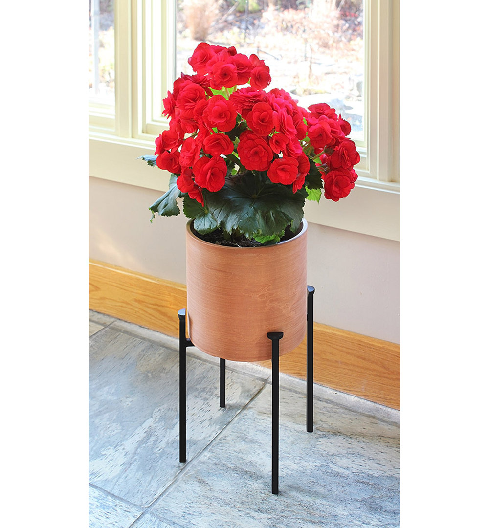 Martamique Metal Plant Stand Ebern Designs