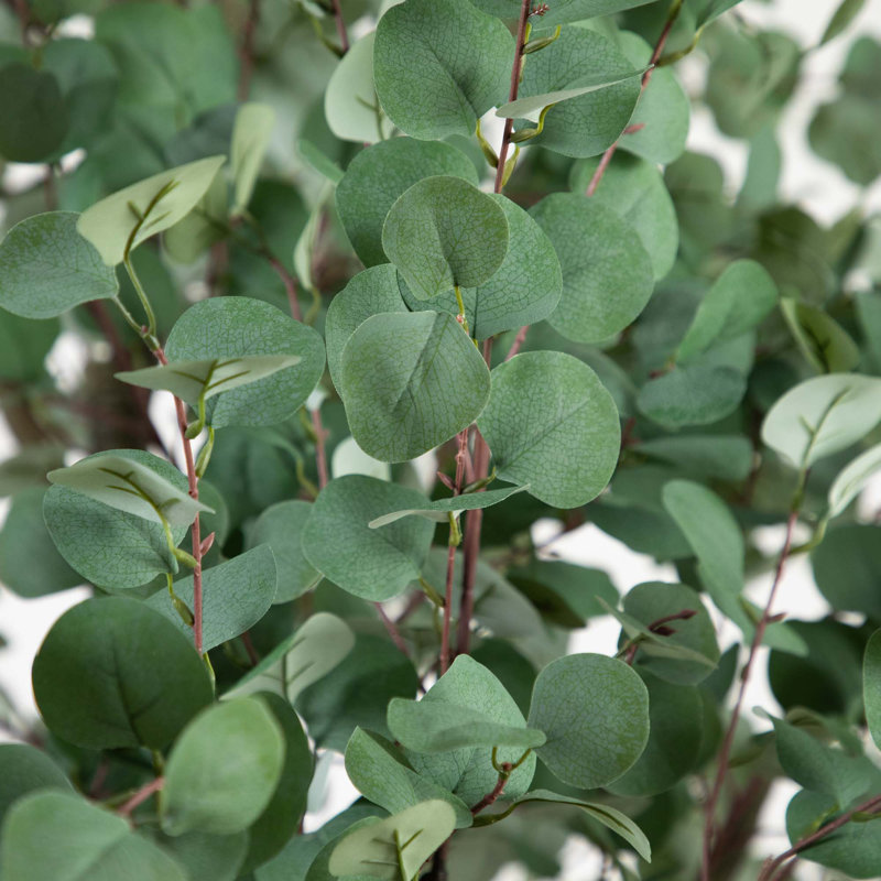 13 pi Eucalyptus artificiel
