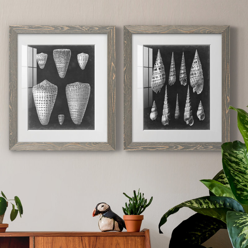 Alabaster Shells IPremium, reproduction encadrée - prête à être accrochée, H 20 po x l 17 po x P 1 po, Papier encadré blanc