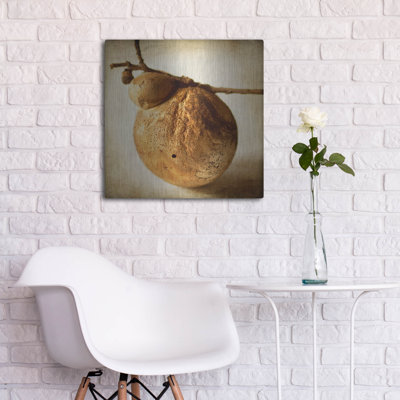 «Oak Pods 3» par Jessica Rogers