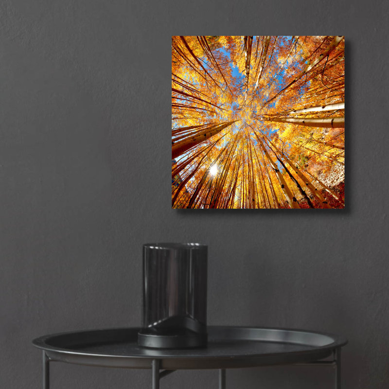 «Colorado Autumn Splendor» par Lena Owens, H 12 po x l 12 po x P 0,13 po